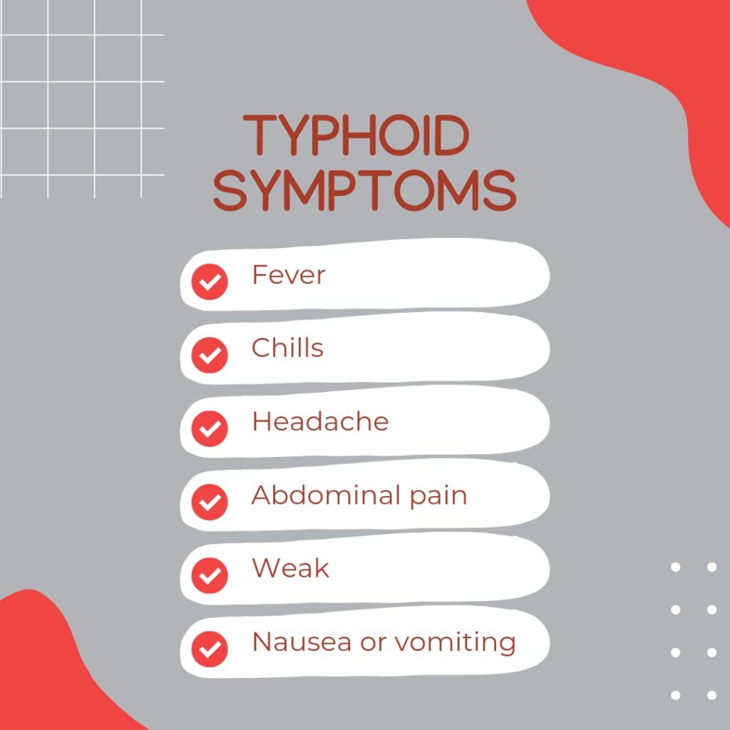 symptoms of typhoid fever