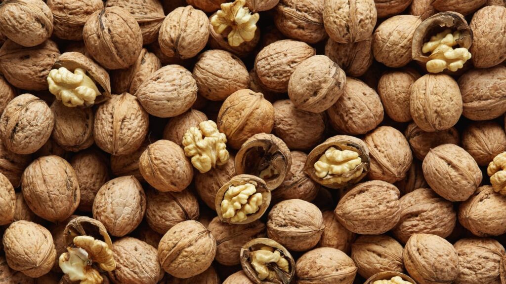 dry fruits